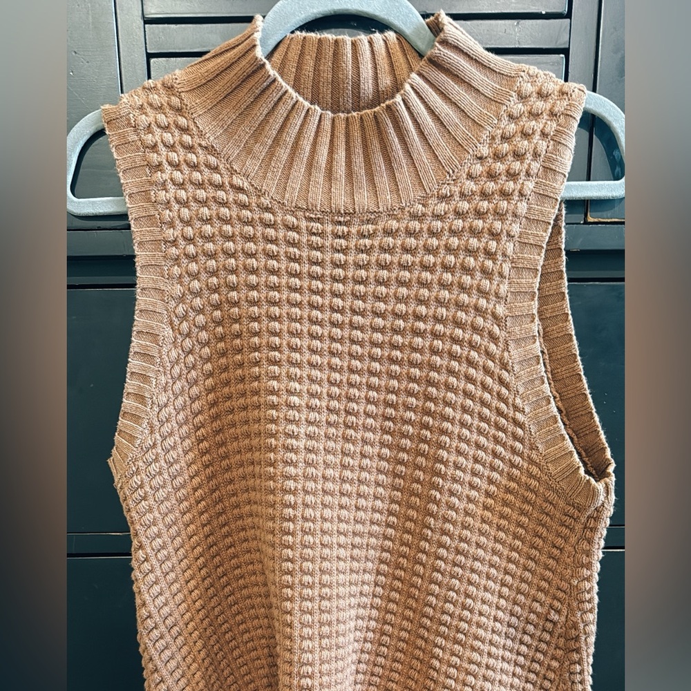 Brown Sleeveless Knit Sweater: French connection - Picture 11 of 12
